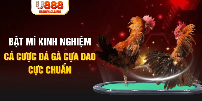 xsmb m trong baccarat, ai là người chia bài chính？