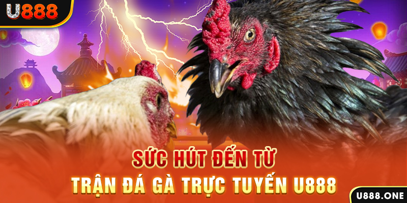 xsmb m hòn gà chọi