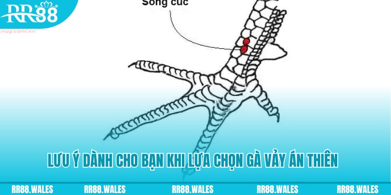 xsmb m how to play roulette at casino