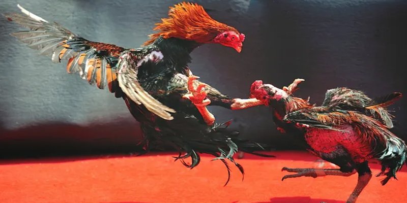 xsmb m đăng nhập nổ hũ số 1