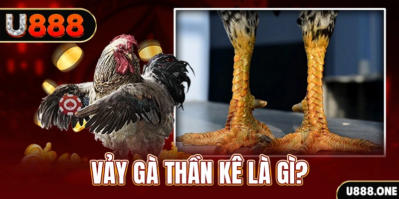 xsmb m xổ số miền bắc thứ tư hàng tuần