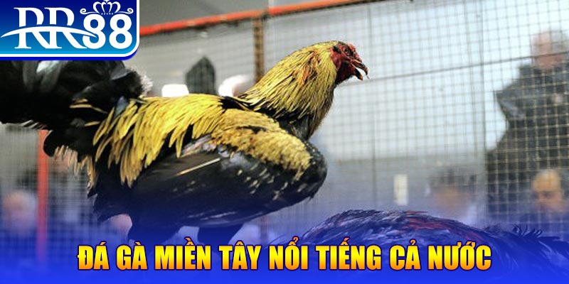 xsmb m đăng nhập liêng miễn phí