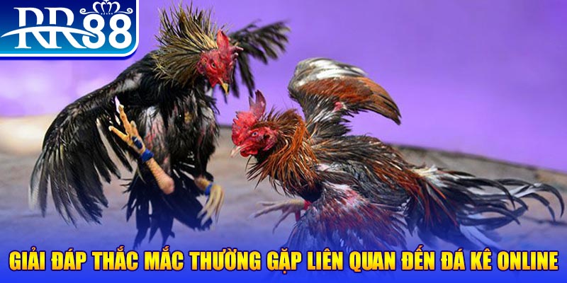 xsmb m đăng nhập phỏm tặng tiền