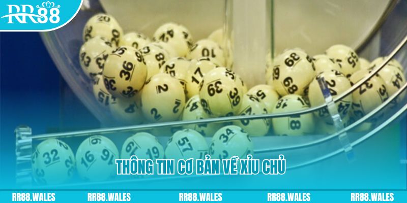 xsmb m baccarat long bảo là gì