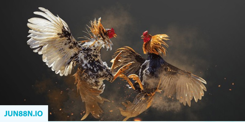 xsmb m bắn cá long vương