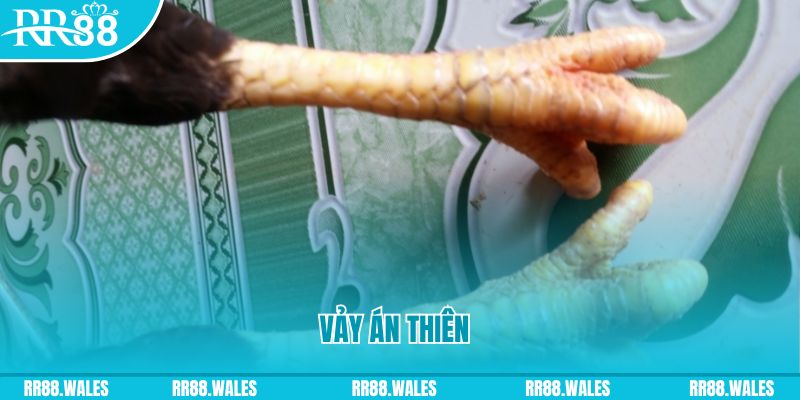 xsmb m who wants to be a millionaire slot